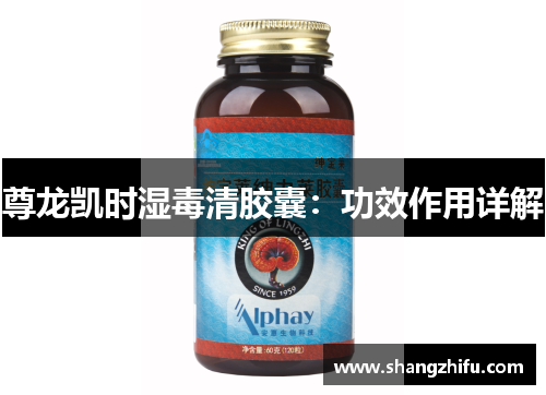 尊龙凯时湿毒清胶囊：功效作用详解